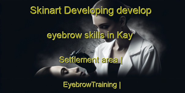 Skinart Developing develop eyebrow skills in Kay Settlement area | EyebrowTraining | EyebrowClasses | SkinartTraining-Canada